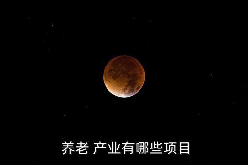  養(yǎng)老 產業(yè)有哪些項目