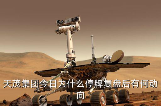 天茂集團什么時候開盤，天茂集團今日為什么停牌復盤后有何動向