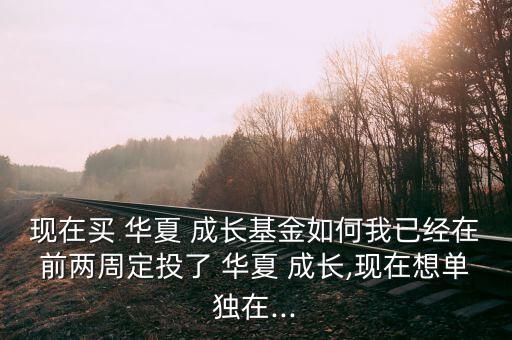 現在買 華夏 成長基金如何我已經在前兩周定投了 華夏 成長,現在想單獨在...