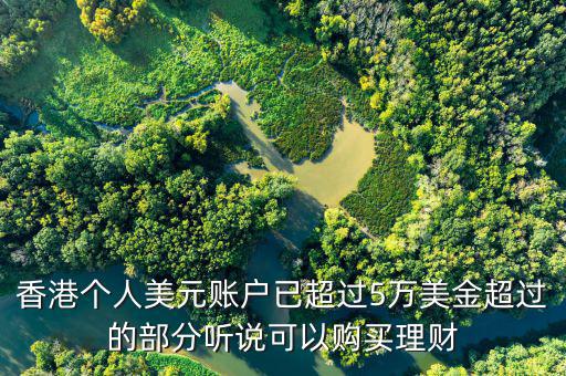美元在香港投資什么比較好，香港個人美元賬戶已超過5萬美金超過的部分聽說可以購買理財