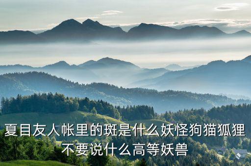 什么是棄風限電，什么是理想非極化電極
