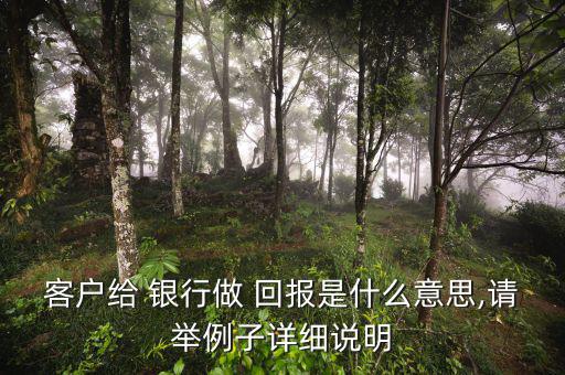 客戶(hù)給 銀行做 回報(bào)是什么意思,請(qǐng)舉例子詳細(xì)說(shuō)明