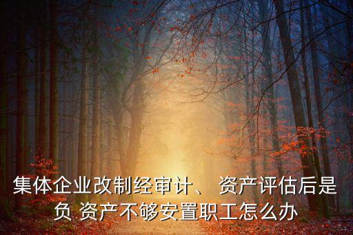 集體企業(yè)改制經(jīng)審計、 資產評估后是負 資產不夠安置職工怎么辦