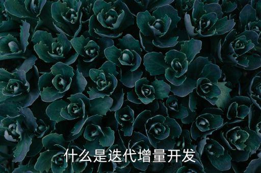 什么是增量發(fā)展，物理意義上的增量是什么意思