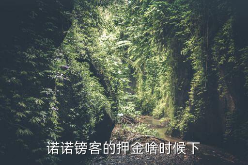 諾諾鎊客里的收本金額是什么，諾諾鎊客的押金啥時(shí)候下