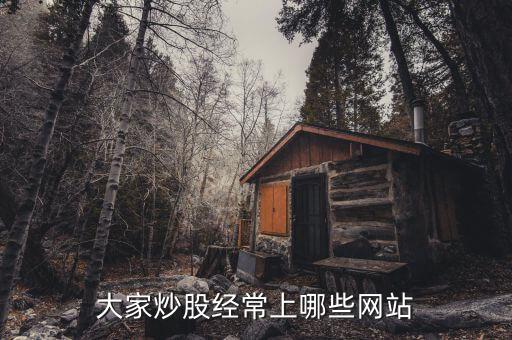 看股票都上什么網(wǎng)站，請問常用的網(wǎng)上交易股票的網(wǎng)站有那些