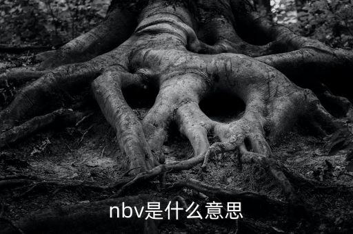 保險nbv是什么意思，nbv是什么意思
