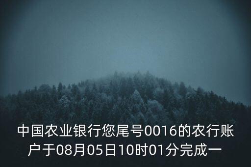 中國(guó)農(nóng)業(yè)銀行您尾號(hào)0016的農(nóng)行賬戶(hù)于08月05日10時(shí)01分完成一