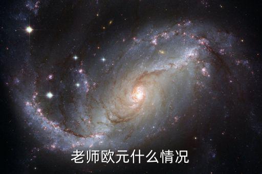 歐元國家是什么意思，老師歐元什么情況