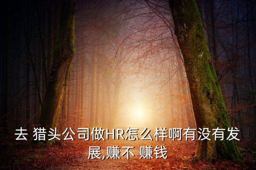 去 獵頭公司做HR怎么樣啊有沒(méi)有發(fā)展,賺不 賺錢