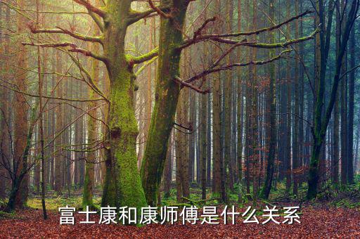 富士康和康師傅是什么關(guān)系