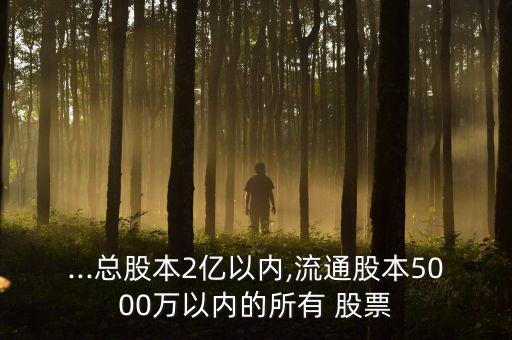 ...總股本2億以?xún)?nèi),流通股本5000萬(wàn)以?xún)?nèi)的所有 股票