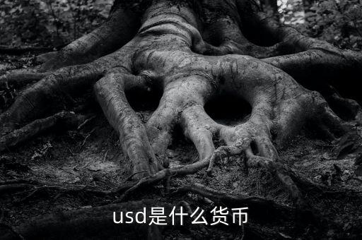 usd什么貨幣，什么是USD