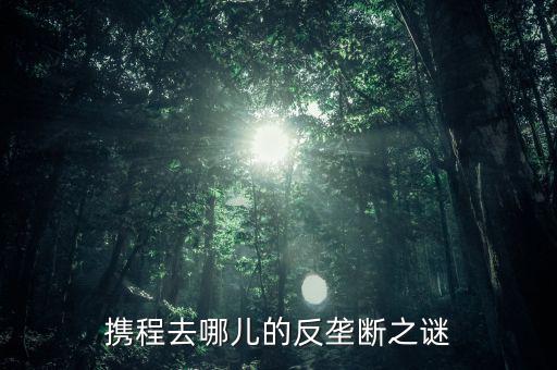 梁建章為什么離開攜程，攜程老板梁建章對公司的投訴難道只會說抱歉嗎這簡直有死