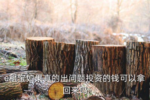 e租寶注冊(cè)有什么風(fēng)險(xiǎn)，朋友讓我給他注冊(cè)個(gè)e租包賬號(hào)安全嗎