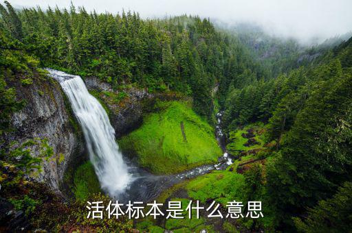 什么的活標本，活體標本是什么意思