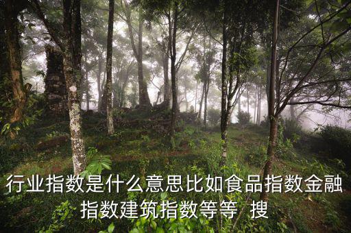 申萬行業(yè)指數(shù)是什么，申萬證券行業(yè)指數(shù)分級是什么指數(shù)基金嗎