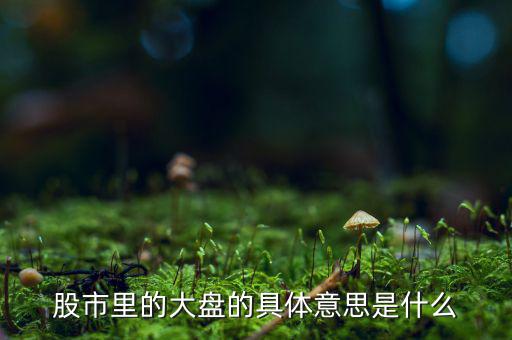 股票中大盤是什么意思，股市里的大盤的具體意思是什么
