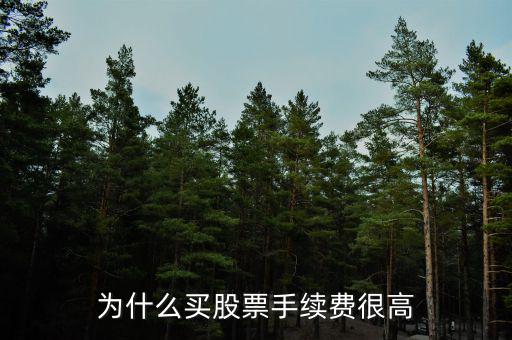 為什么股票有手續(xù)費，原始股為什么老收取手續(xù)費