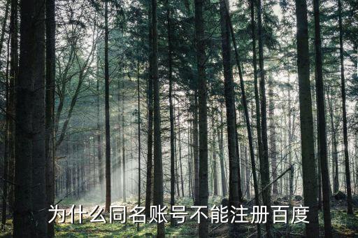 什么是同名賬戶，神武游戲說存在同名賬號(hào)是什么意思