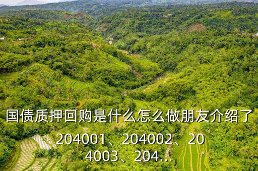 國債質(zhì)押回購是什么怎么做朋友介紹了 204001、204002、204003、204...
