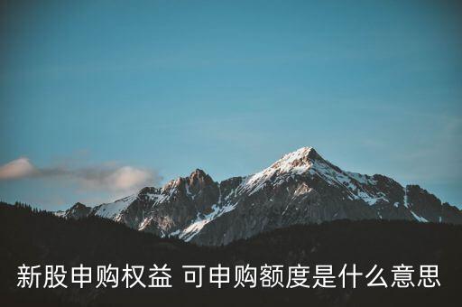 新股申購權益 可申購額度是什么意思