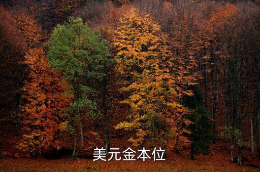 金本位什么時(shí)候，金本位制度是什么時(shí)候取消的