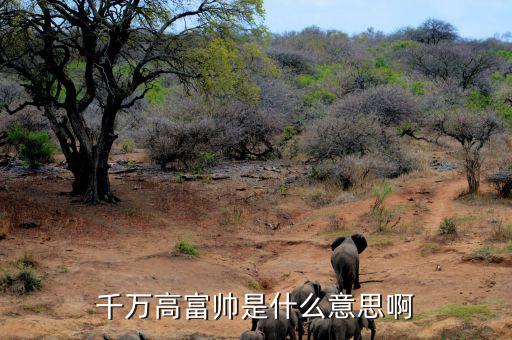 千萬身家是什么概念，千萬高富帥是什么意思啊