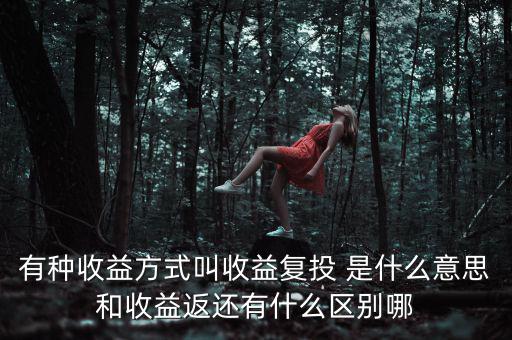 按月復(fù)投是什么意思，本息復(fù)投是什么意思