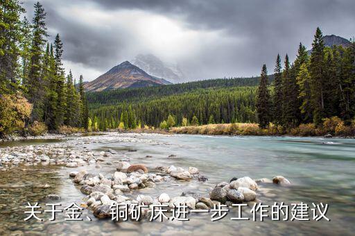 關(guān)于金、 銅礦床進(jìn)一步工作的建議