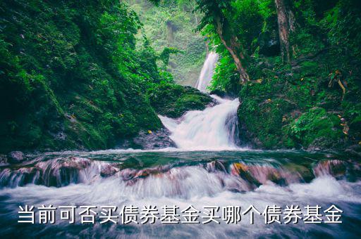 熊市買什么純債基金，當前可否買債券基金買哪個債券基金