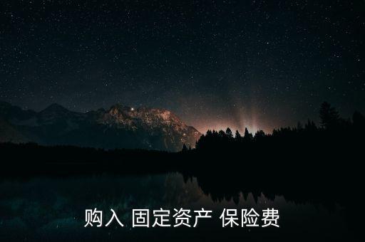 購(gòu)入 固定資產(chǎn) 保險(xiǎn)費(fèi)