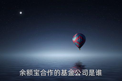 余額寶投資過什么公司，余額寶合作的基金公司是誰