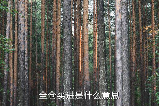 全倉(cāng)買入是什么意思，掛高全倉(cāng)買入什么意思