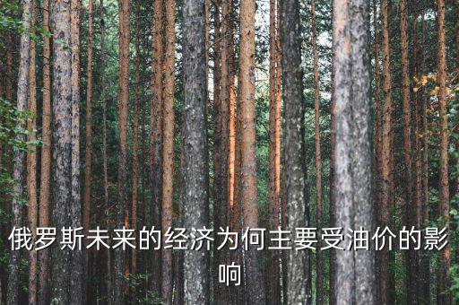 俄羅斯未來的經(jīng)濟(jì)為何主要受油價(jià)的影響