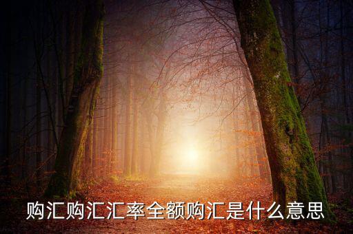 全額匯購(gòu)是什么意思，什么叫全額結(jié)匯