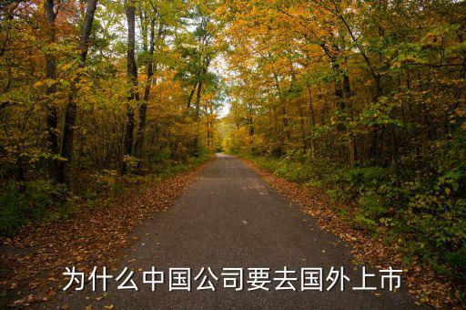 中國(guó)企業(yè)為什么要在境外上市，為什么有公司要到境外上市
