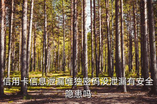 信用卡信息泄露有什么風(fēng)險(xiǎn)，信用卡信息泄漏唯獨(dú)密碼沒泄漏有安全隱患嗎