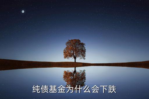為什么純債基也會下跌，純債基金為什么會下跌