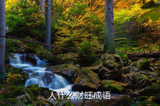 人什么什么財，帶人和財?shù)某烧Z