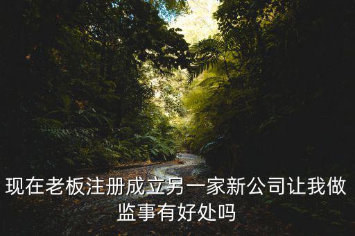 上市公司做監(jiān)事有什么好處，現(xiàn)在老板注冊成立另一家新公司讓我做監(jiān)事有好處嗎