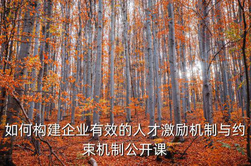 財(cái)務(wù)激勵與約束機(jī)制的設(shè)計(jì)原則是什么，財(cái)務(wù)激勵約束機(jī)制的概念是什么