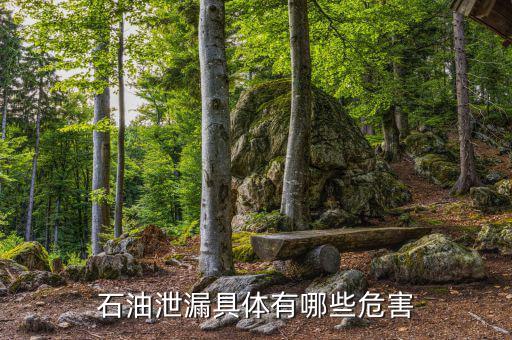 原油泄漏影響什么部門，石油泄漏具體有哪些危害