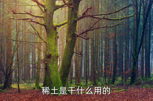 為什么稀土，日本為什么要進(jìn)口稀土 稀土是什么
