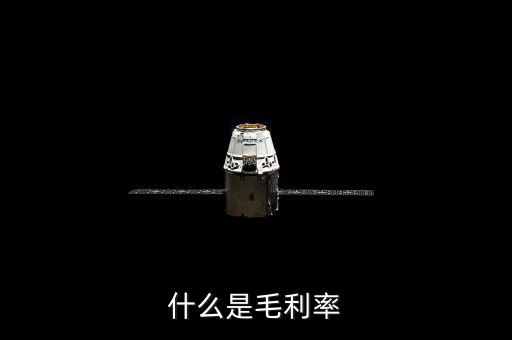 毛利率是什么，毛利率是什么意思