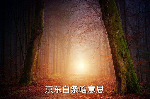 京東白條是什么，京東白條啥意思