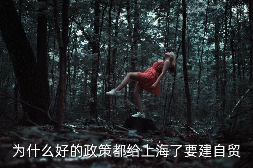為什么要設立上海自貿(mào)區(qū)，上海自貿(mào)區(qū)成立的目的