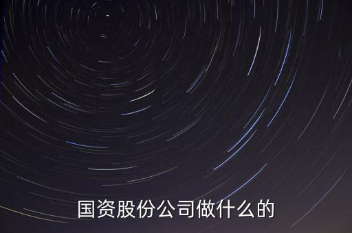 國資公司是做什么的，國資股份公司做什么的