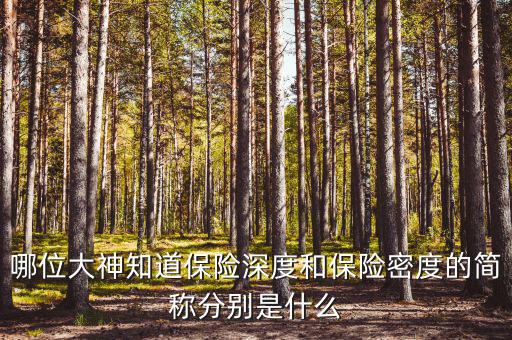 什么叫保險(xiǎn)密度，保險(xiǎn)深度與密度是什么