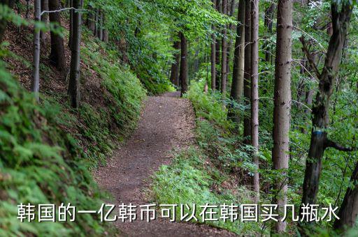 1億韓幣能買什么，1億韓元能在什么